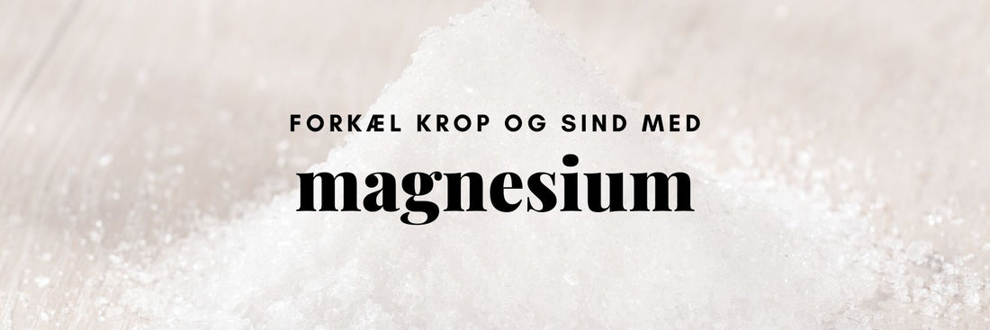Magnesiumtilskud og produkter til krop og sind