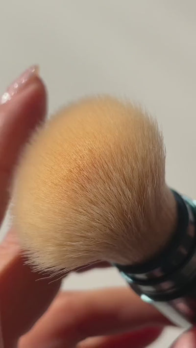 Video 1