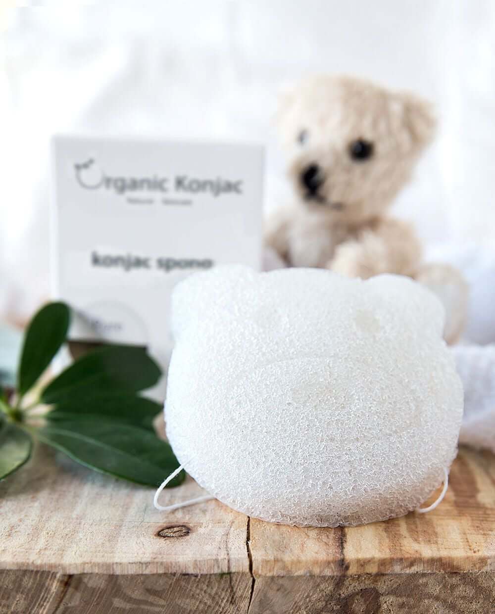 Organic Konjac Svamp Pure Bear – Til babyer og børn